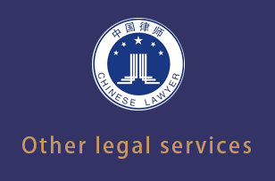 红河Other legal services